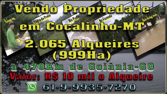 Foto 1 - Vendo Propriedade em Cocalinho-MT 2 Mil Alqueires